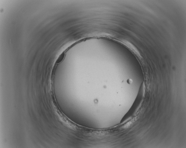 X0000076431044200610271728