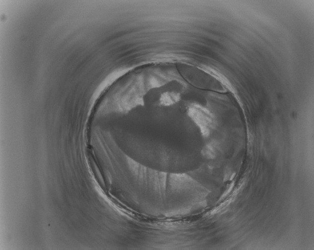 X0000076431045200610271728