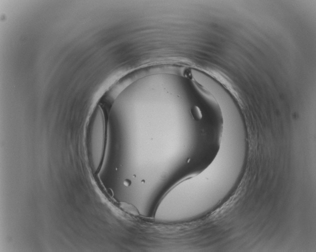 X0000076431046200610271728