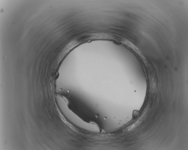 X0000076431049200610271728