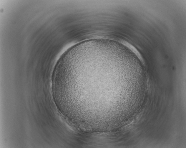 X0000076431051200610271728