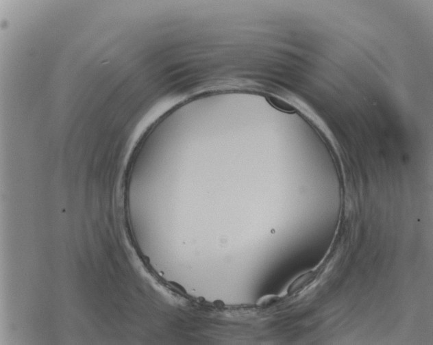 X0000076431053200610271728