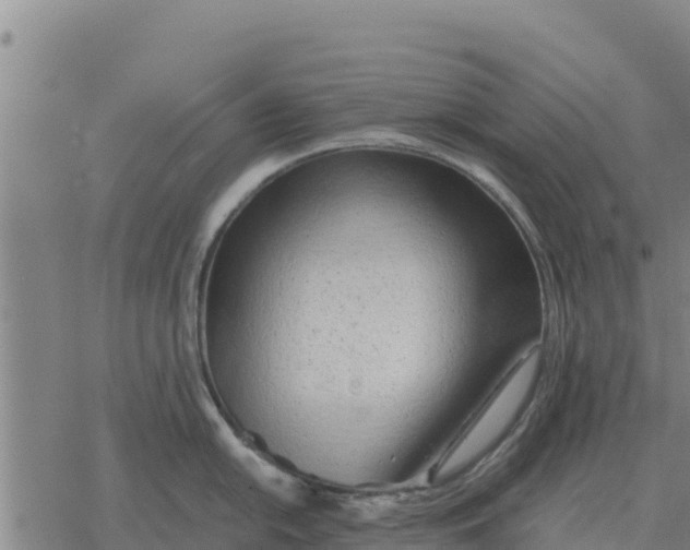 X0000076431054200610271728