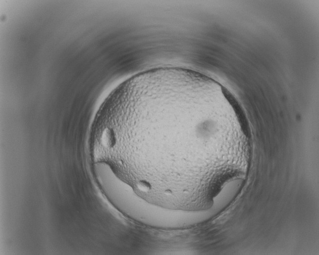 X0000076431056200610271728