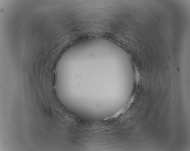 X0000076431057200610271727