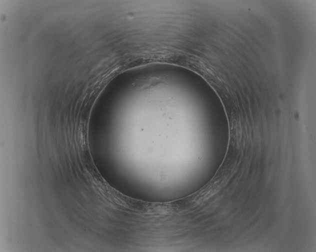 X0000076431058200610271727