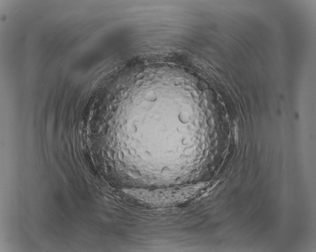 X0000076431059200610271727