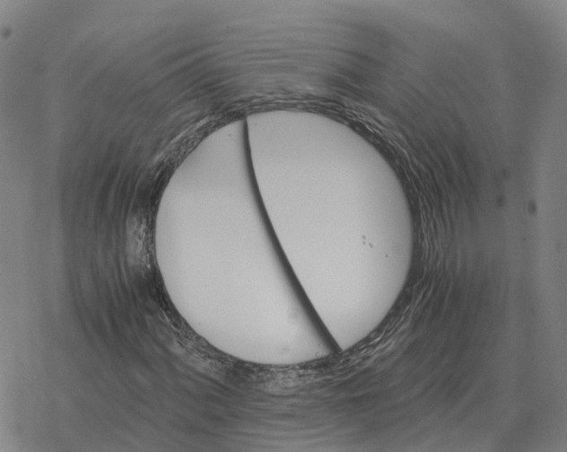 X0000076431060200610271727