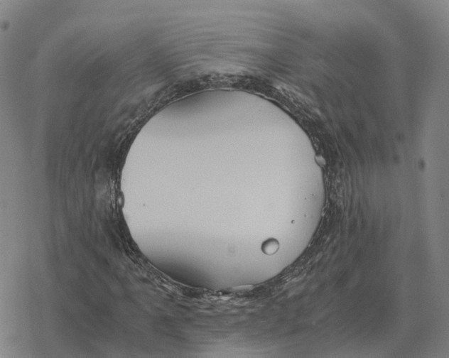 X0000076431061200610271727