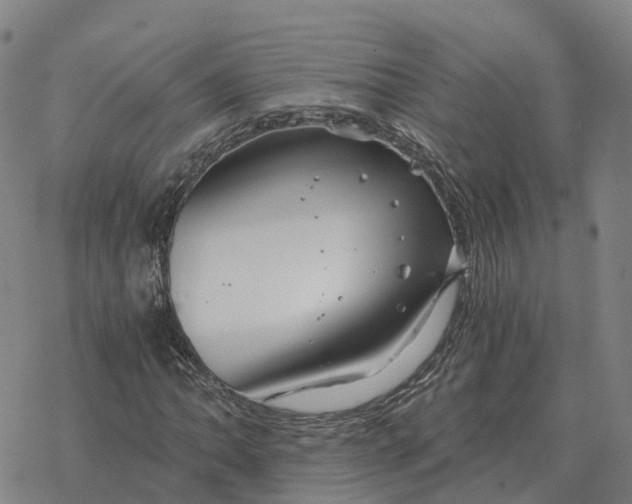 X0000076431062200610271727