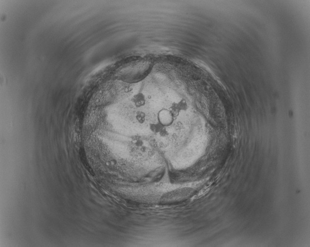 X0000076431063200610271727