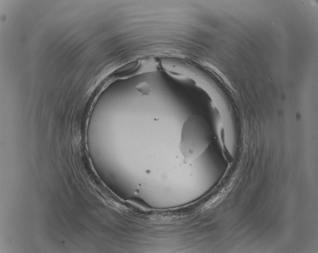 X0000076431065200610271727