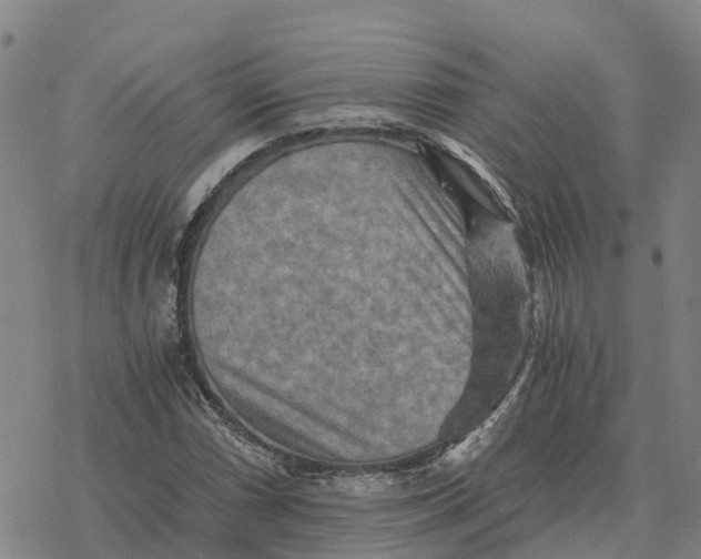 X0000076431066200610271727