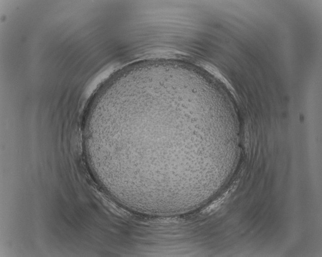 X0000076431067200610271727