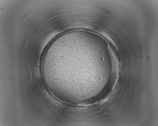 X0000076431068200610271727