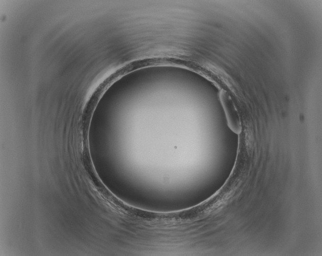 X0000076431069200610271727