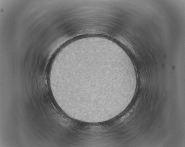 X0000076431070200610271727