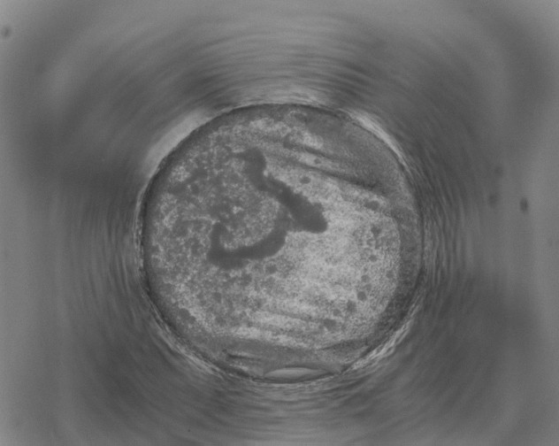 X0000076431071200610271727