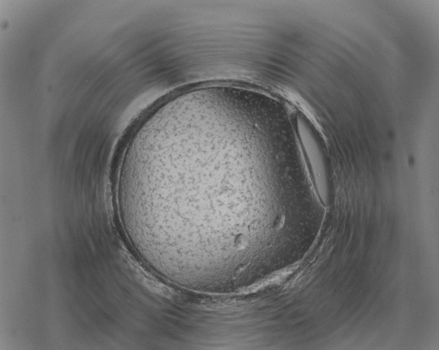 X0000076431072200610271727