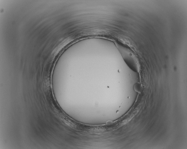 X0000076431073200610271727