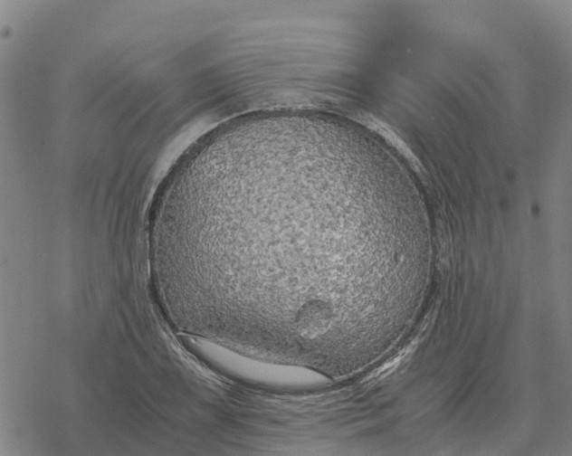 X0000076431075200610271727