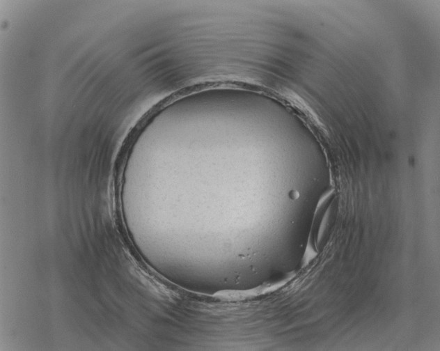 X0000076431076200610271727