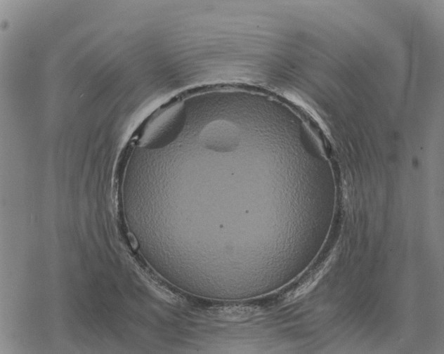 X0000076431077200610271727