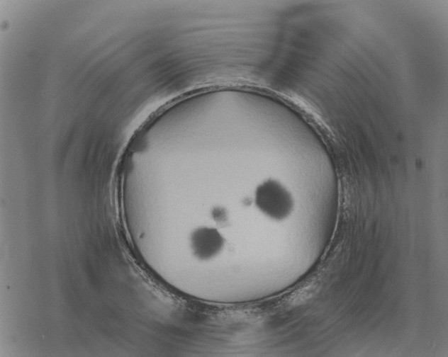 X0000076431078200610271727