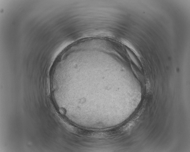 X0000076431079200610271727