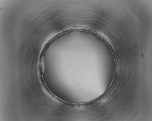 X0000076431080200610271727