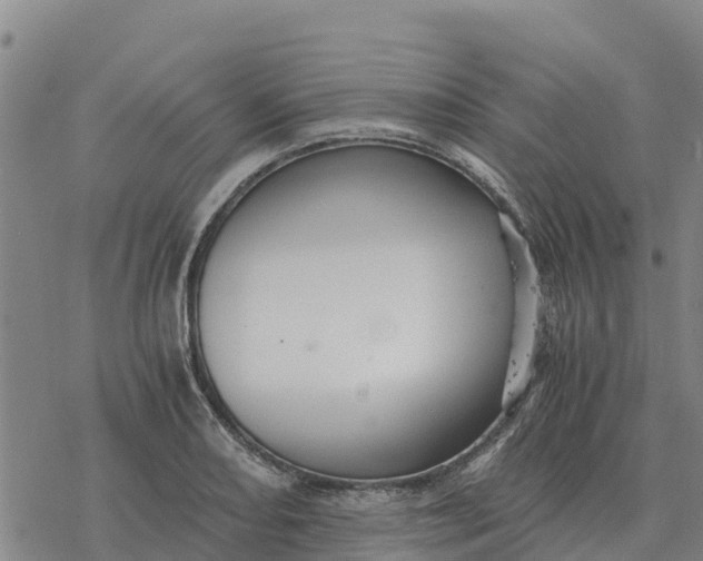 X0000076431082200610271727