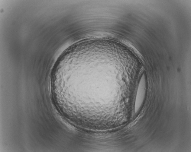 X0000076431083200610271727