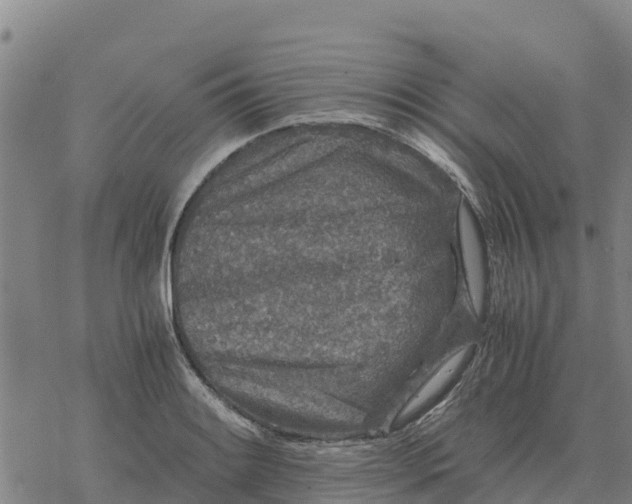 X0000076431084200610271727