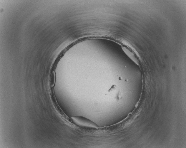 X0000076431085200610271727