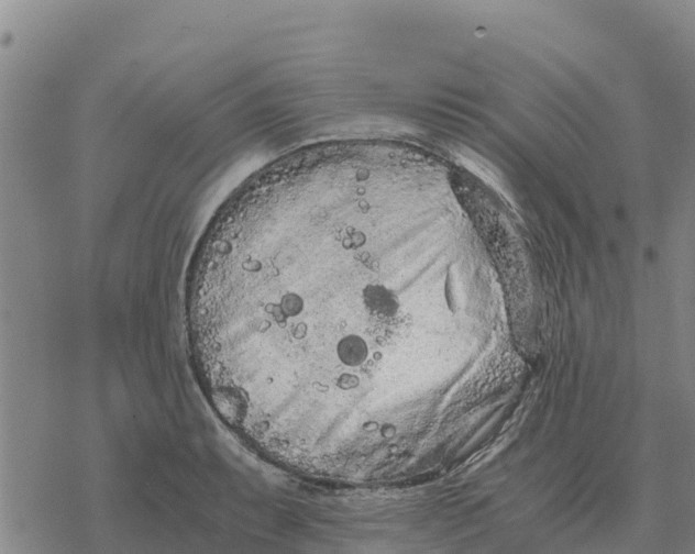 X0000076431087200610271727