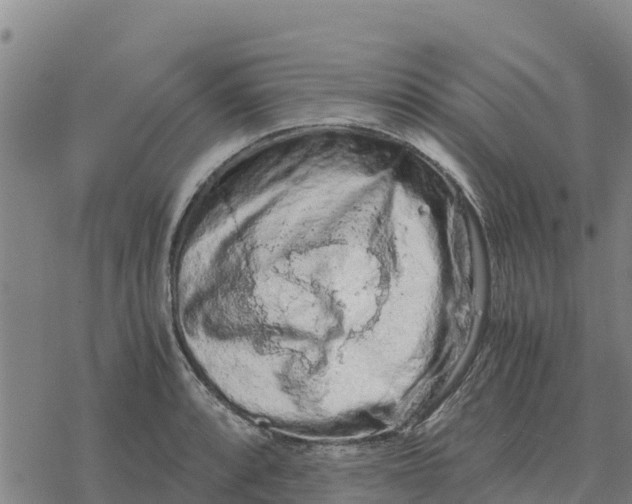 X0000076431088200610271727