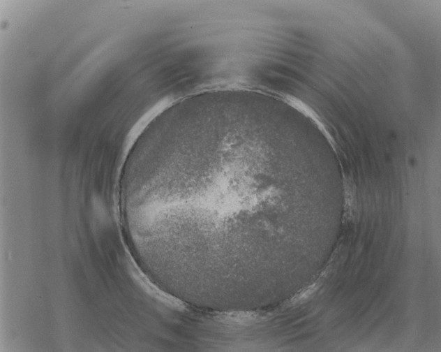 X0000076431090200610271727