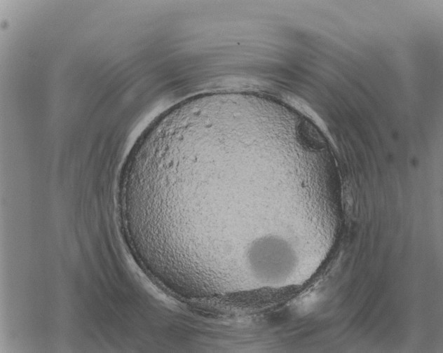 X0000076431091200610271727