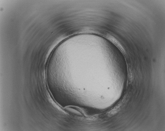 X0000076431092200610271727