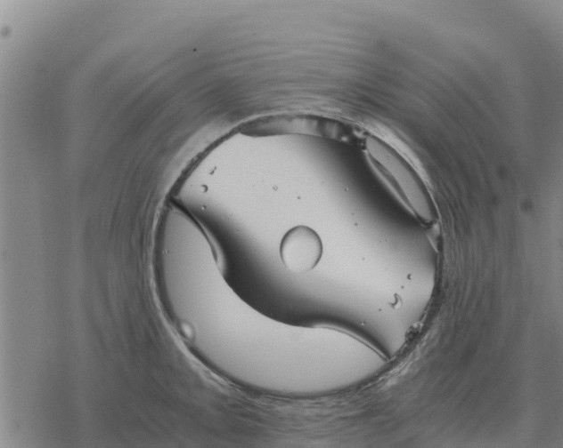 X0000076431093200610271727