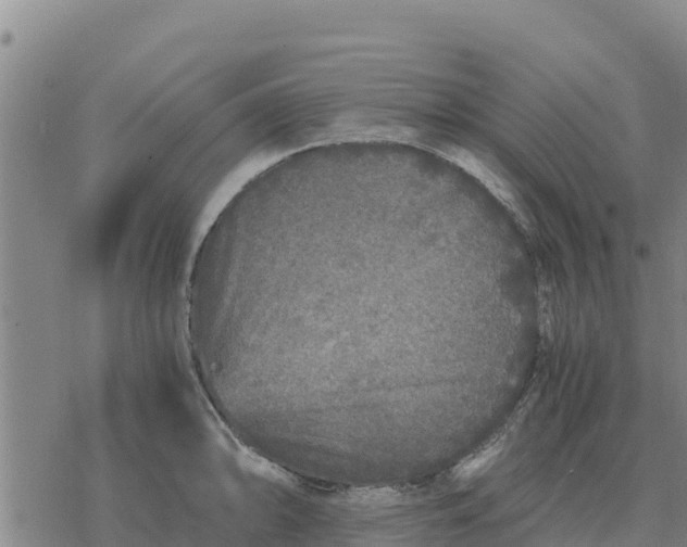 X0000076431094200610271727