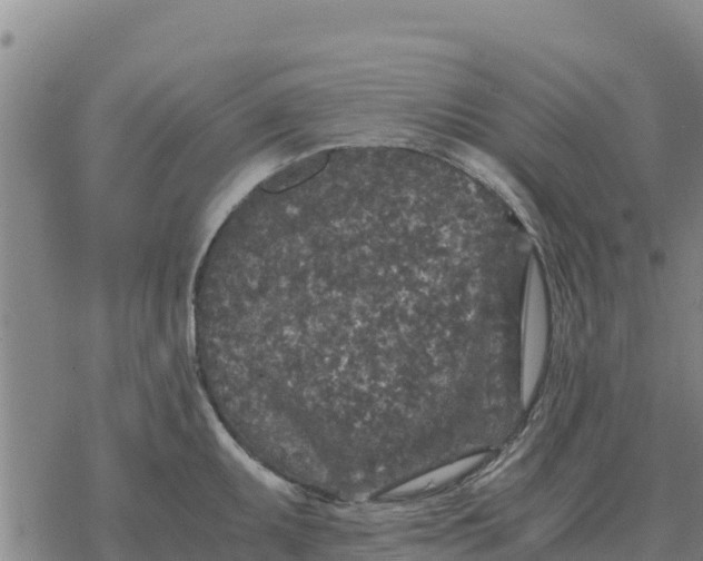 X0000076431095200610271727