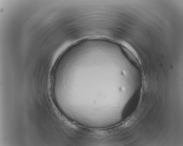 X0000076431096200610271727