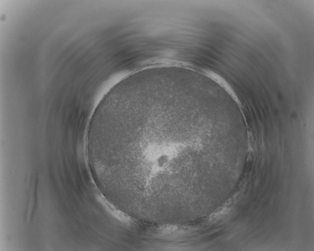 X0000076431098200610271727