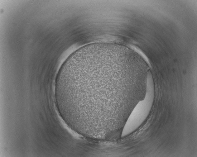 X0000076431099200610271727