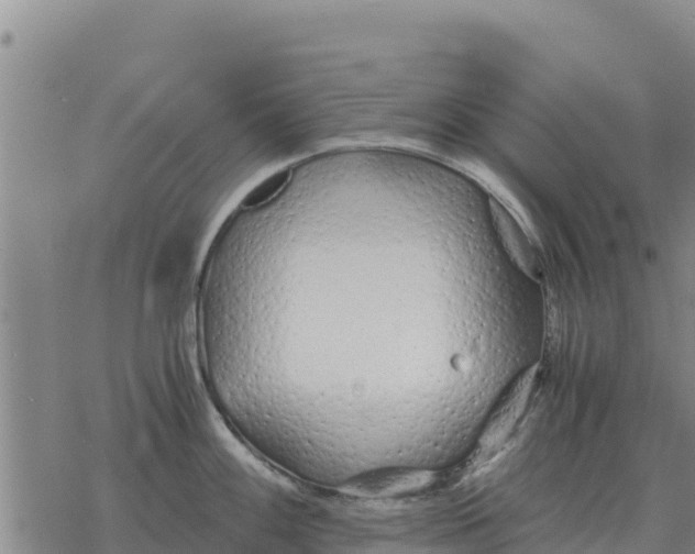 X0000076431100200610271727