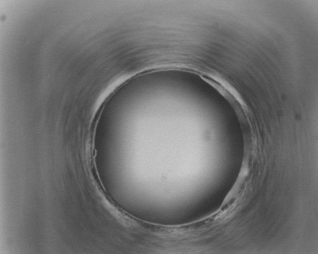 X0000076431101200610271727