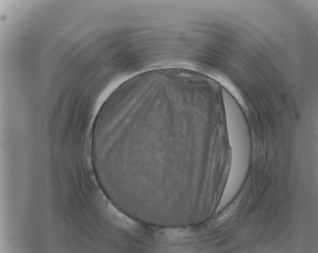 X0000076431102200610271727