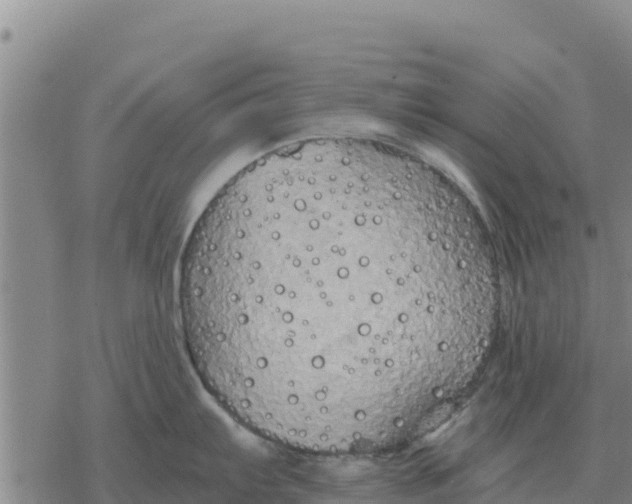 X0000076431103200610271727