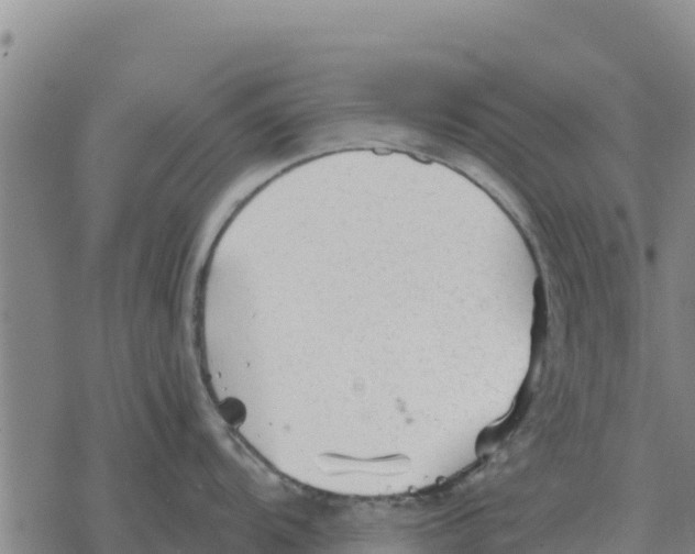 X0000076431104200610271727